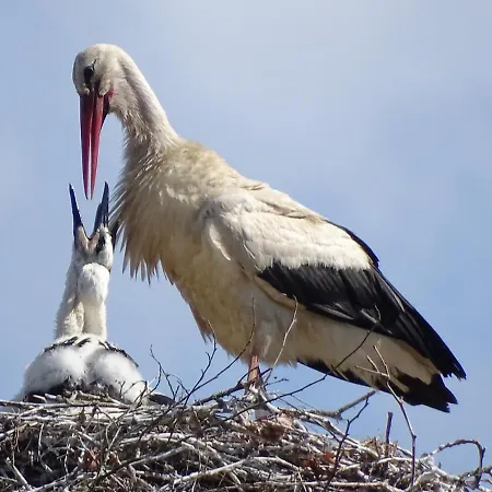 Chateau De La Verie 3*
