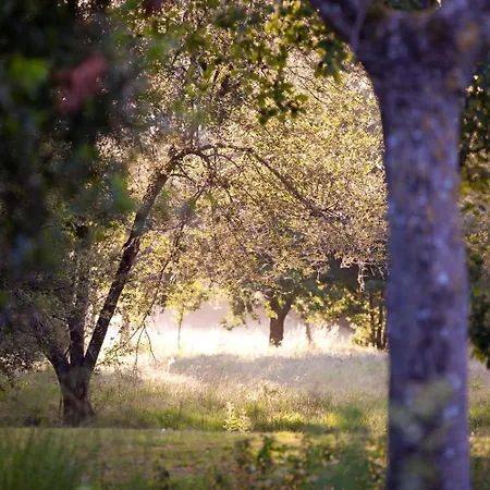 Hotel Chateau De La Verie 3*