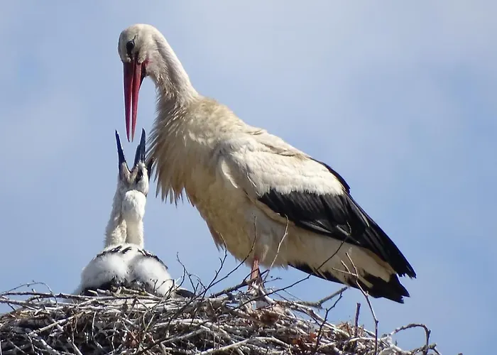 Chateau De La Verie 3*