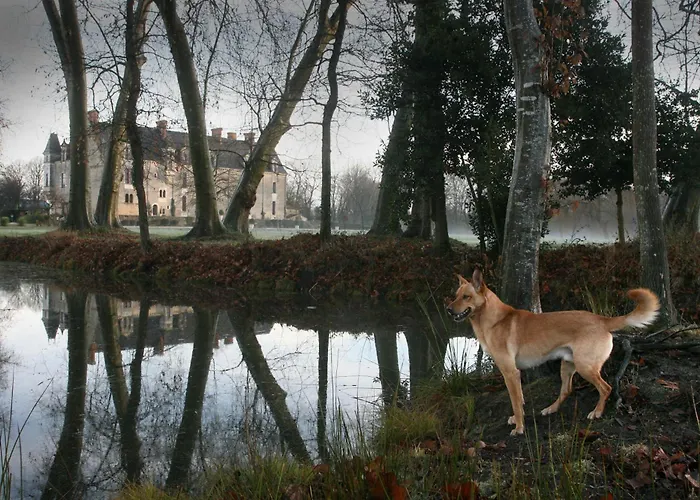 Отель Chateau De La Verie Шаллан