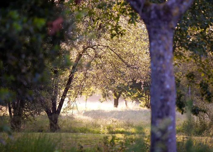 酒店 德拉韦励酒庄酒店 3*